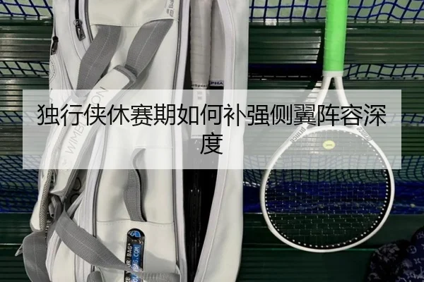独行侠休赛期如何补强侧翼阵容深度（xingkong.com）